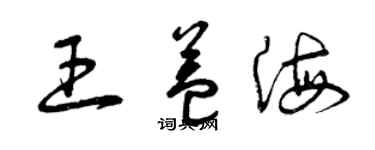 曾慶福王益海草書個性簽名怎么寫