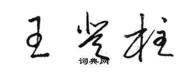 駱恆光王登柱草書個性簽名怎么寫