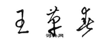 駱恆光王革春草書個性簽名怎么寫