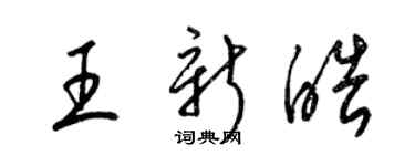 梁錦英王新皓草書個性簽名怎么寫