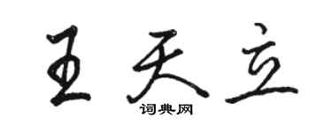 駱恆光王天立行書個性簽名怎么寫