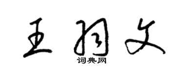 梁錦英王羽文草書個性簽名怎么寫