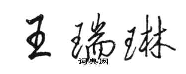 駱恆光王瑞琳行書個性簽名怎么寫