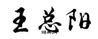 胡問遂王總陽行書個性簽名怎么寫