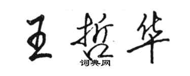 駱恆光王哲華行書個性簽名怎么寫