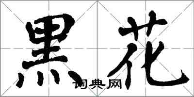翁闓運黑花楷書怎么寫