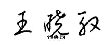 梁錦英王曉殷草書個性簽名怎么寫