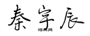 曾慶福秦宇辰行書個性簽名怎么寫