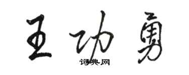 駱恆光王功勇行書個性簽名怎么寫