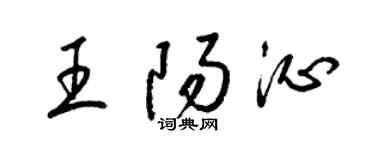 梁錦英王陽沁草書個性簽名怎么寫