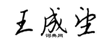 王正良王成望行書個性簽名怎么寫