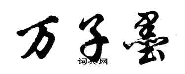 胡問遂萬子墨行書個性簽名怎么寫
