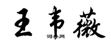 胡問遂王韋薇行書個性簽名怎么寫