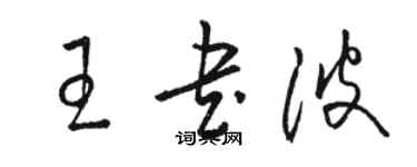 駱恆光王書波草書個性簽名怎么寫
