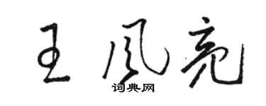 駱恆光王風亮草書個性簽名怎么寫
