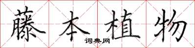 田英章藤本植物楷書怎么寫