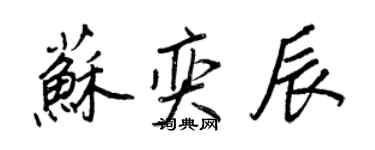 王正良蘇奕辰行書個性簽名怎么寫