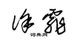 朱錫榮徐霏草書個性簽名怎么寫