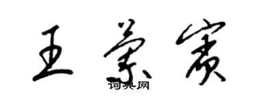 梁錦英王蘭賓草書個性簽名怎么寫