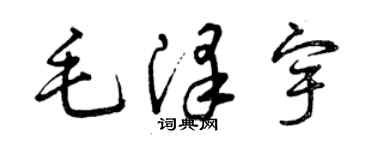 曾慶福毛澤宇草書個性簽名怎么寫