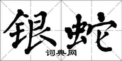 翁闓運銀蛇楷書怎么寫