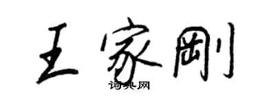 王正良王家剛行書個性簽名怎么寫