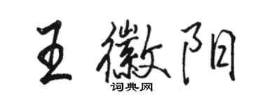 駱恆光王徽陽行書個性簽名怎么寫