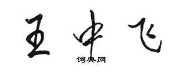 駱恆光王中飛行書個性簽名怎么寫