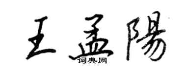 王正良王孟陽行書個性簽名怎么寫