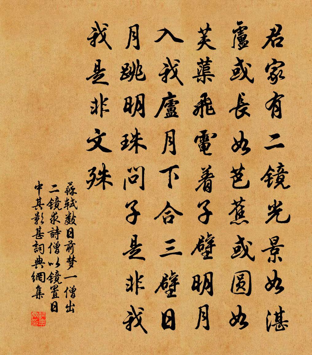 蘇軾數日前夢一僧出二鏡求詩僧以鏡置日中其影甚書法作品欣賞