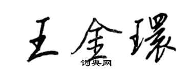 王正良王金環行書個性簽名怎么寫