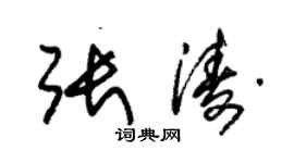 朱錫榮張濤草書個性簽名怎么寫