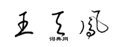 梁錦英王天鳳草書個性簽名怎么寫