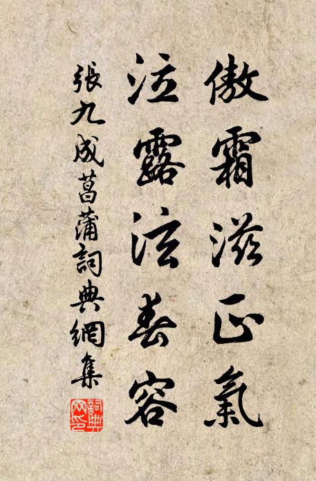 雲減霧消無處問，只留華發與衰翁 詩詞名句