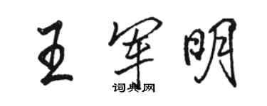 駱恆光王軍明行書個性簽名怎么寫