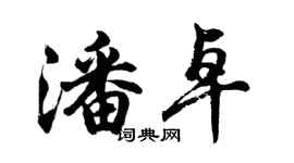 胡問遂潘卓行書個性簽名怎么寫