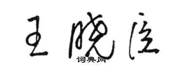 駱恆光王曉臣草書個性簽名怎么寫