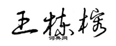 曾慶福王棟榕草書個性簽名怎么寫