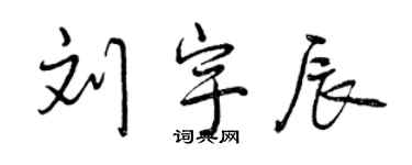 曾慶福劉宇辰行書個性簽名怎么寫