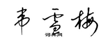 梁錦英韋雪梅草書個性簽名怎么寫