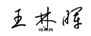 梁錦英王林暉草書個性簽名怎么寫