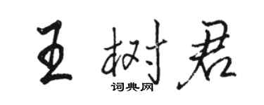 駱恆光王樹君行書個性簽名怎么寫