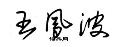 朱錫榮王鳳波草書個性簽名怎么寫