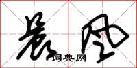 朱錫榮晨風草書怎么寫