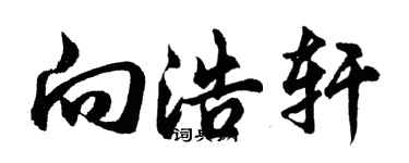胡問遂向浩軒行書個性簽名怎么寫