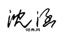 朱錫榮沈涵草書個性簽名怎么寫