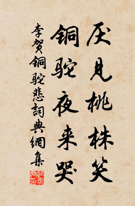 東岸菊叢西岸柳，柳陰煙合菊花開 詩詞名句