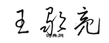 駱恆光王歌亮草書個性簽名怎么寫