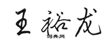 駱恆光王裕龍行書個性簽名怎么寫
