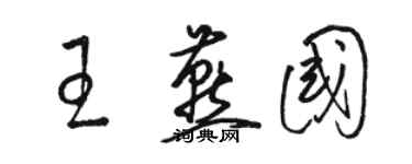 駱恆光王燕國草書個性簽名怎么寫